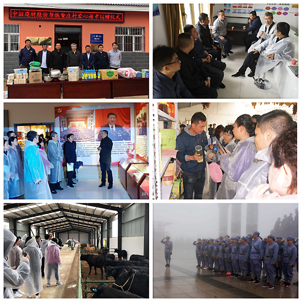 优德88·(中国区)官方网站