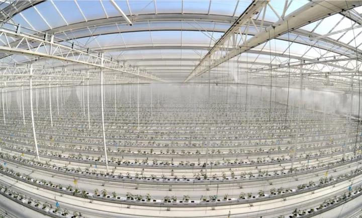 优德88·(中国区)官方网站