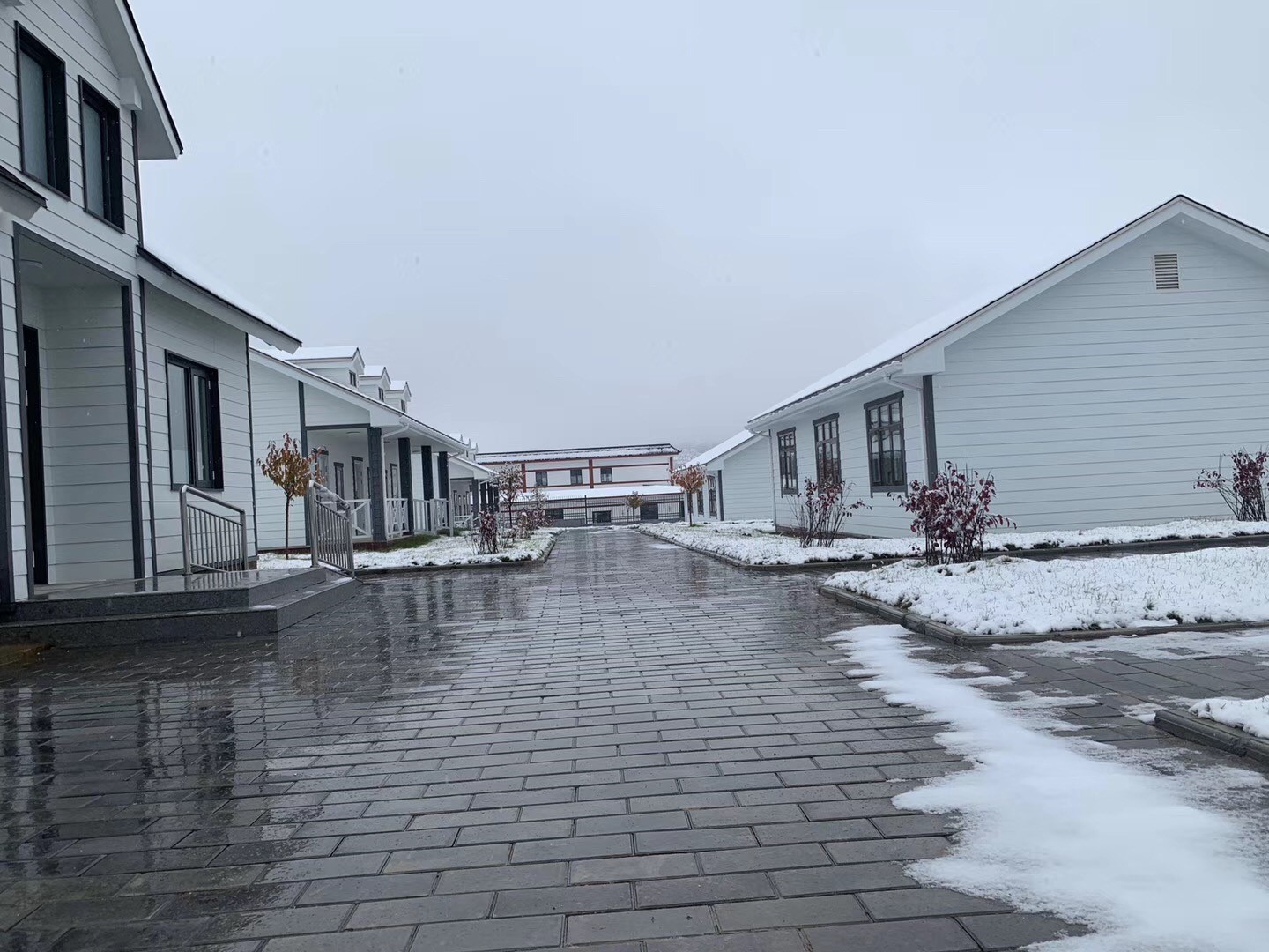 优德88·(中国区)官方网站