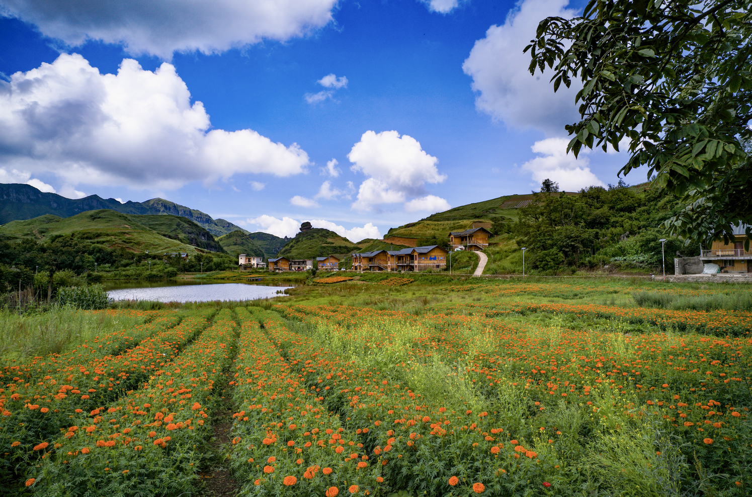 优德88·(中国区)官方网站