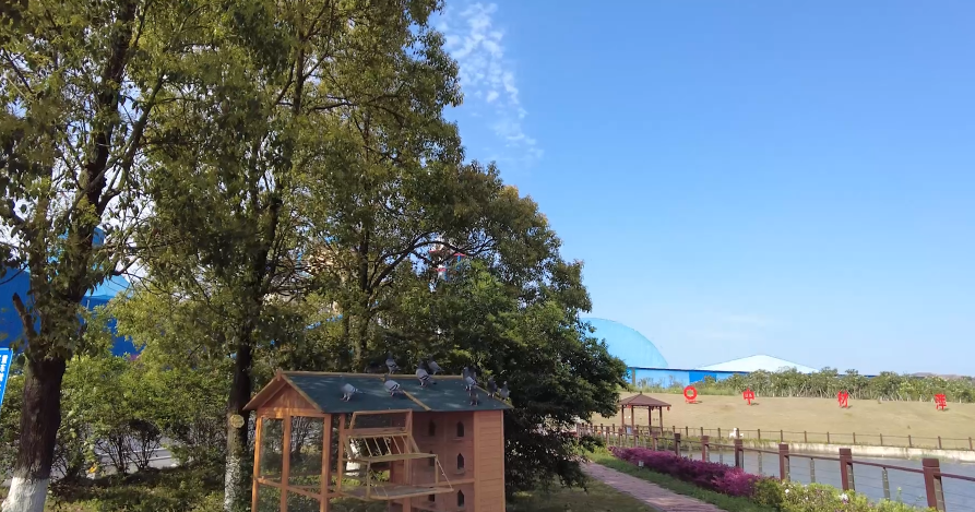 春来好时光，，，，，花园工厂生气勃勃