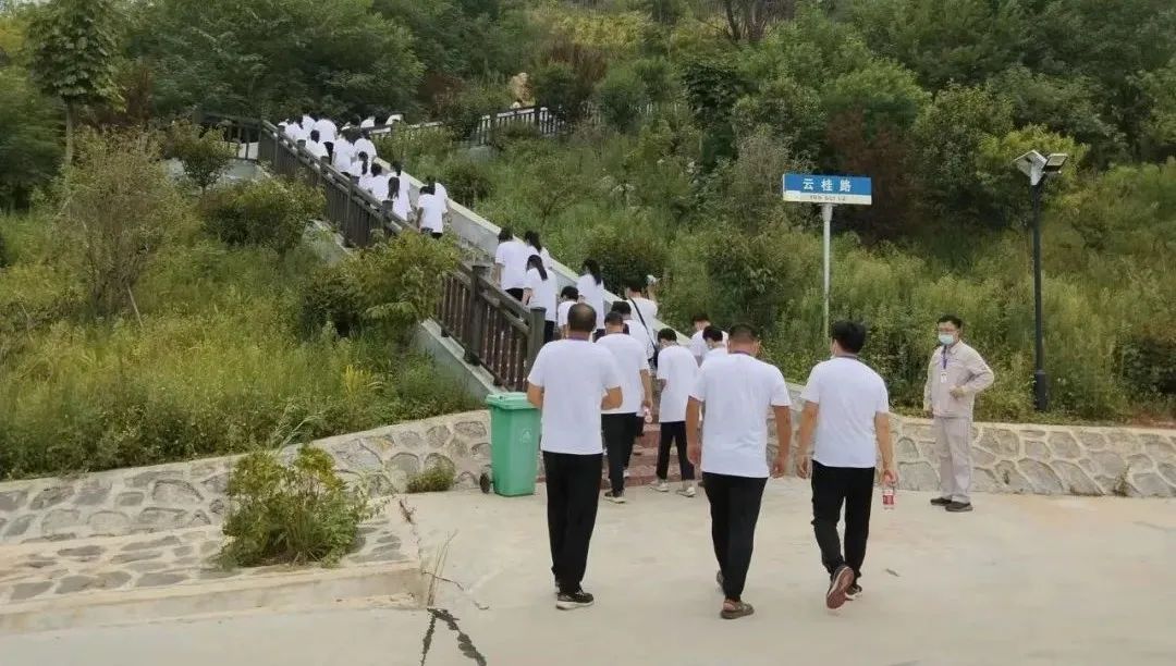 优德88·(中国区)官方网站